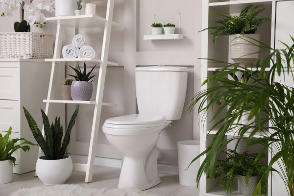 Cost of Toilet Repair in Valencia