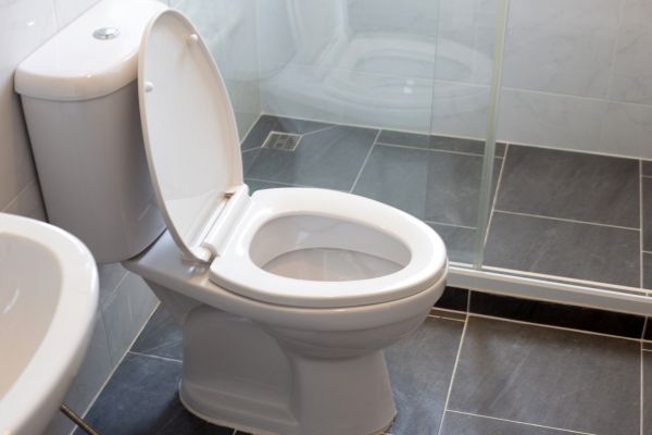 Cost of Toilet Replacement in Valencia