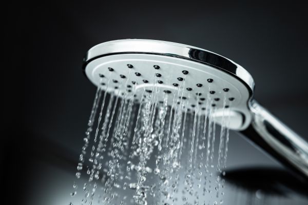 Cost of Shower Head Replacement in Valencia