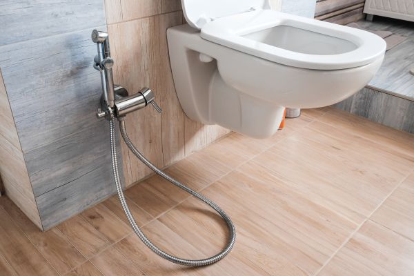 Cost of Bidet Service in Valencia