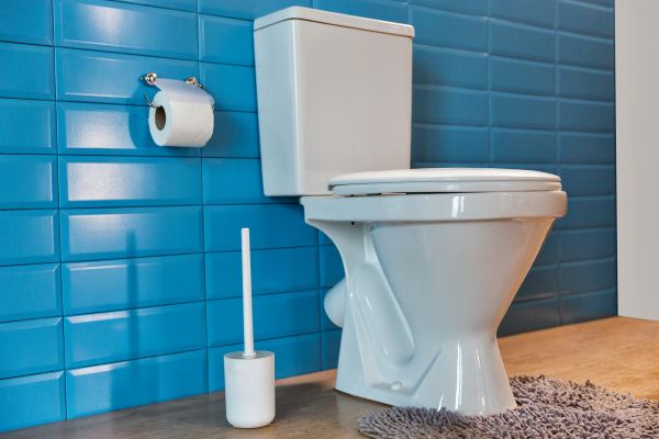 Cost of Toilet Tank Repair in Valencia