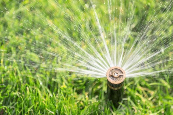Cost of Spigot Installation in Valencia