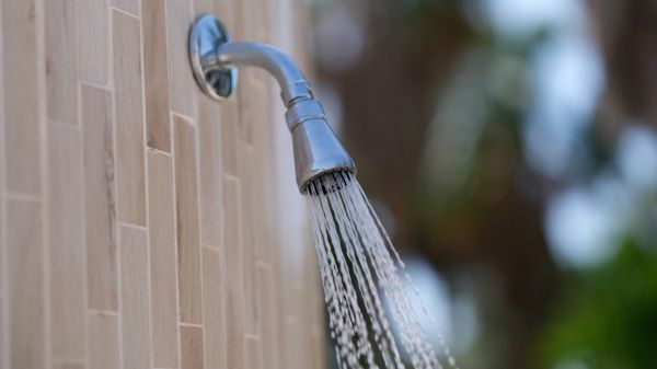 Cost of Showerhead Repair in Valencia