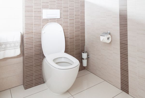 Cost of Toilet Plumbing Installation in Valencia