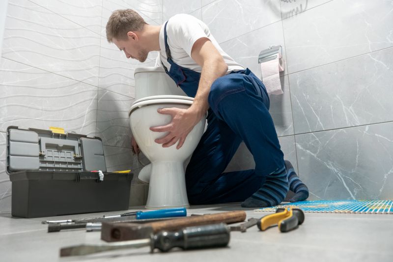 Backed Up Toilet Repair